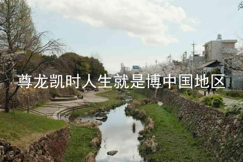 尊龙凯时人生就是博中国地区